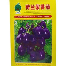 荷蘭紫番茄種子早熟高產無限生長口味甘甜農家陽台西紅柿蔬菜種子