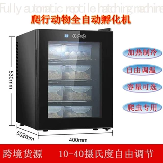 跨境货源智能恒温蜥蜴孵化机家用双温小型爬宠全自动乌龟孵蛋器