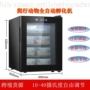 跨境双温家用恒温孵化机