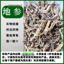 �؅���ș�� ���x�o���x�݅��y�l�˼���Ȼ���m�����Q���񹝅�500��