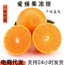 爱媛果冻橙一件代发爱媛手剥橙38号果冻橙柑橘水果橙子果冻橙批发