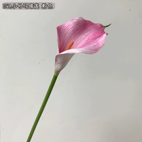 From eva foam, small, fuchsia