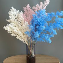 蓬莱松永生花干花花束婚礼家居装饰七夕节礼物材料包跨境厂家批发