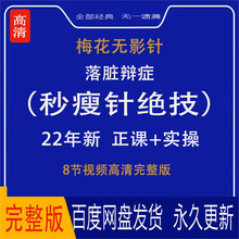 梅花技术视频教程瘦针美业中医无影针落脏全集秒美容针灸中医课程