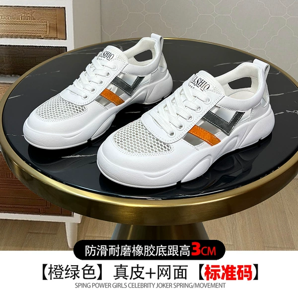 9556 white gray