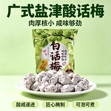 咸白话梅广式盐津酸话梅排骨泡水泡可乐泡红酒KTV奶茶店调理散装