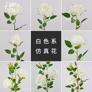 (��ɫϵ)���滨��c��չ��Y�ò廨�ҾӔ[���bٻ����ՔzӰ����