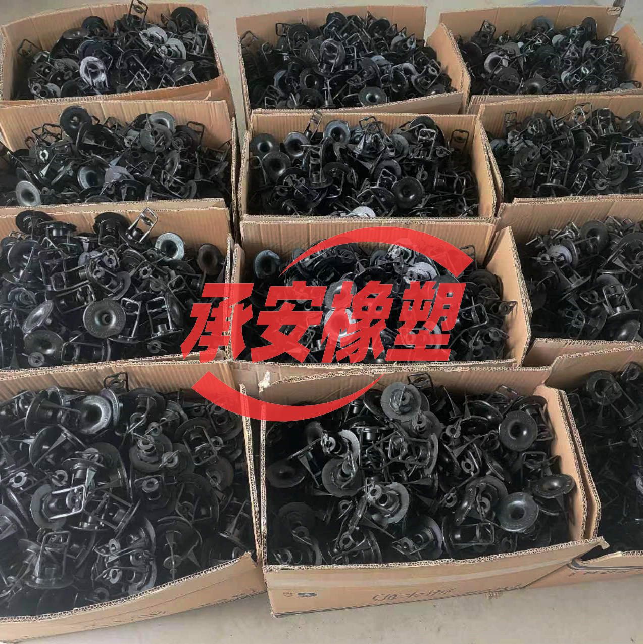 微信图片_202310071322222_副本