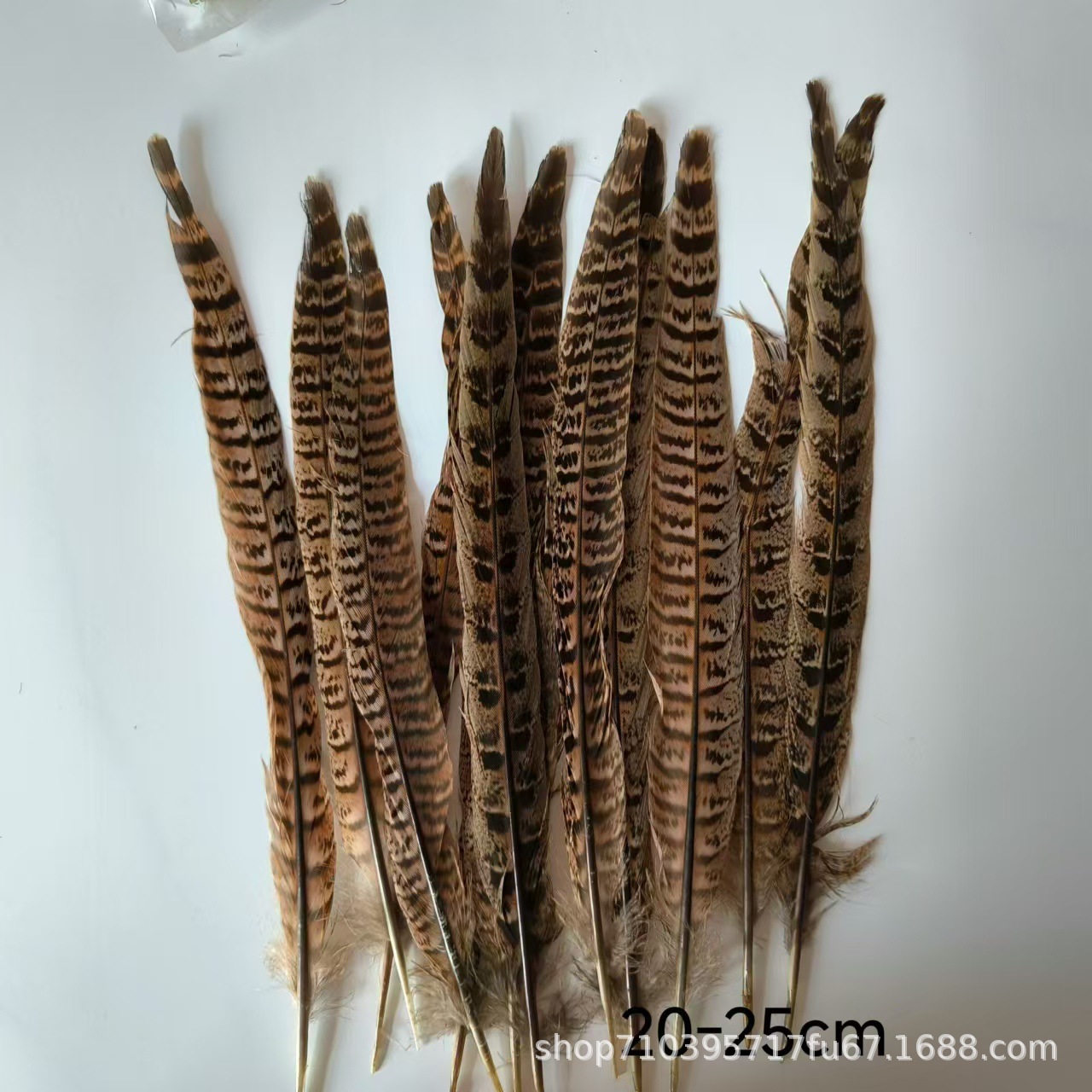 Fábrica al por mayor pelo de faisán 10-90cm cola de faisán pluma de bricolaje danza plumas de faisán cola de gallina palo de gato divertido image 5
