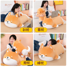 �ɰ��羳�»���Ȯ����ſſ��ë�����ѹ����˯��ż�����޳�������