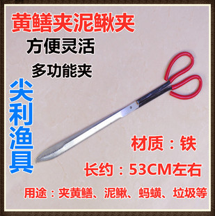 �S�X�A�Q ���q�Q���Q���~�Q �A�~�����S�X�����S�X�A�S�X�