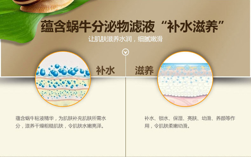 4411067934_244096987_副本