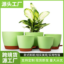 �羳؛Դ�S�����l��������ˮ�����z�������ρ��R�d���N��