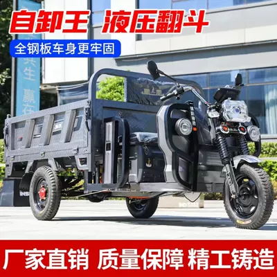 Auto Parts and Accessories: Other New Electric Dump