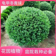 ���׶�����ͥԺ�e���������Gֲ��С�~Ůؑ������������t����ľ��