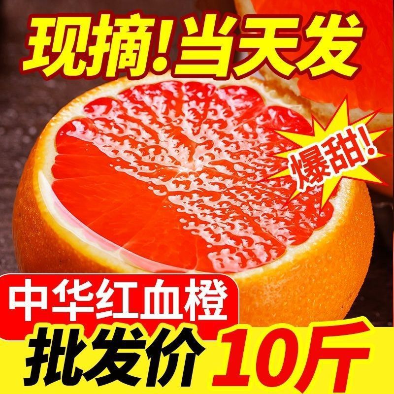【精品】秭归中华红橙血橙新鲜水果红心橙子当季孕妇非塔萝科