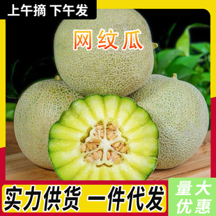 õ���ϾW�y�����rˮ����������r��W�y�����һ�����l10
