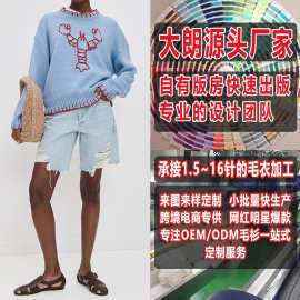 秋季女款宽松休闲潮流刺绣套头毛衣看图打版加工定制大朗毛织厂家