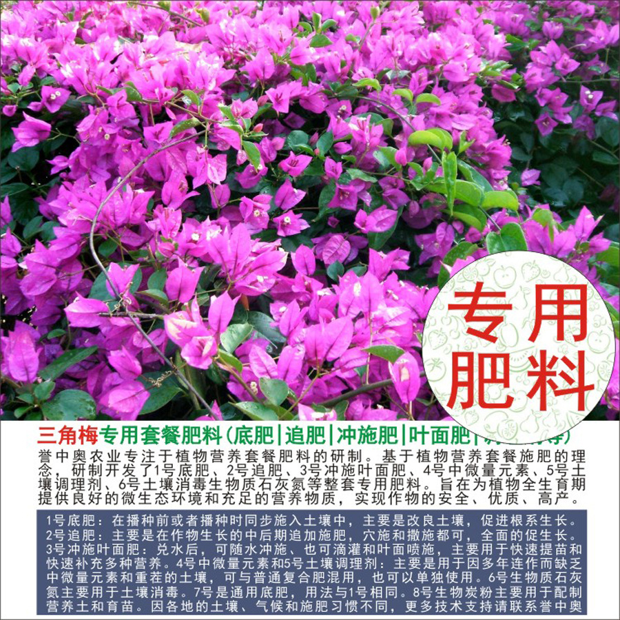 50�����а�����÷ר���л��ʸ��Ϸʵ׷�׷��Ҷ��ʳ�ʩ��ˮ�ܷ�