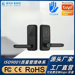 Cross-Border American Password Swipe Fingerprint Lock Bluetooth App Smart Lock One-Touch Open Handle Smart Lock