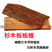 ʯNֲʯľҒ쾰mԻ|mrI