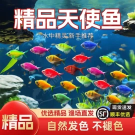 过家家玩具;童车座椅配件;积木类