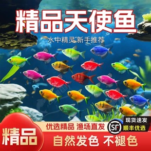 ��ʹ�~�߲��~�������O���t��ʹ�G�ϻ����͟Ꭷ���~�^�p�~���B�ͻ�