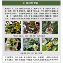 ���ֱ�l�W�¼������֭�̨������ͥԺ���Ի��@�����ļ��_����