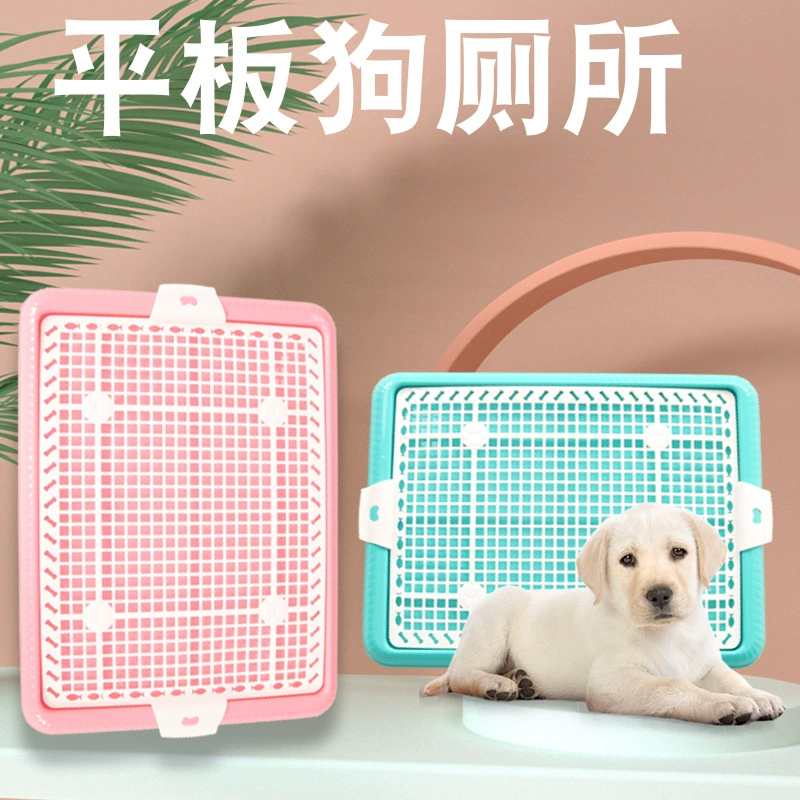 Собачий туалет Тедди Маленькая собака в помещении