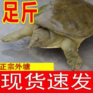 ĸ���~���w�������B���B���~���S���~�r��ʳ�ÈF�~ˮ�~