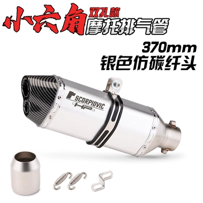 250SR race version NINJA400 – Exhaust pipe - 370-double-hole-silver-imitation-carbon-head