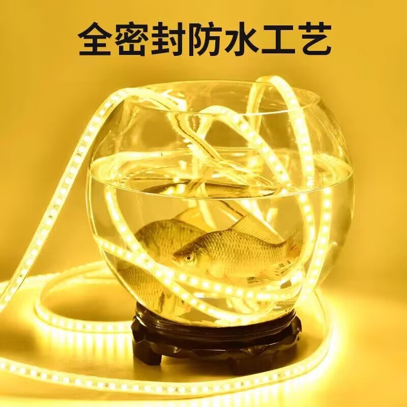 낮은 전압 빛 벨트 36V24V 백색 빛 따뜻한 빛 LED 조명 바 야외 방수 터널 농장 조명 장식 1 미터 전단