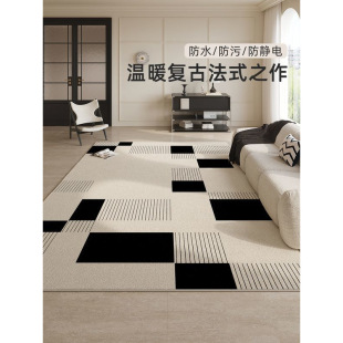 Carpet Living Room New Style No-Wash Wipeable Light Luxury High-End No-Maintenance Sofa Waterproof Bedroom Bedside Floor Mat