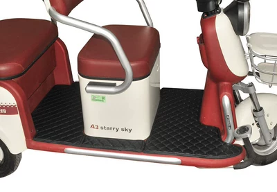 Electric vehicle foot mat Jinpeng, Daima, Lima electric - black-floor-mats-front-and-rear