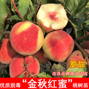 ����Ѫ�Ҙ����޽��ش�ˮ�����Ϸ������Nֲ�������ͥԺ���Ԯ���