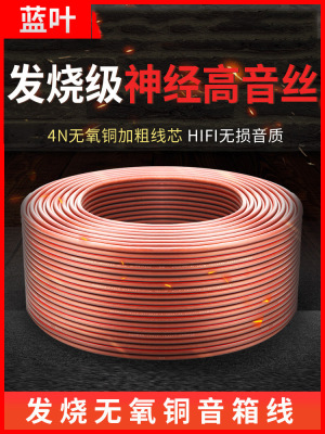 Blue Leaves major sound Wire Fever Pure copper currency Horn wire automobile Power amplifier refit Audio line Speaker wire