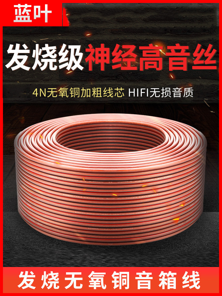 Blue Leaves major sound Wire Fever Pure copper currency Horn wire automobile Power amplifier refit Audio line Speaker wire