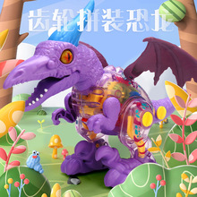 抖音同款电动透明齿轮拼装翼龙灯光仿真叫声恐龙模型儿童玩具批发
