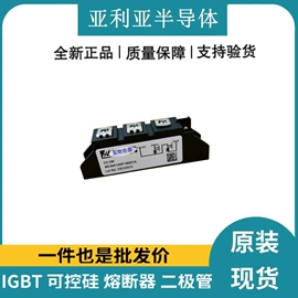 IGBT模块;集成电路;普通晶闸管
