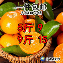 ��ϸ�ɽ�ָ�1/3/5/9�����rˮ�������Fժ������ɰ�Ǹ̽�����