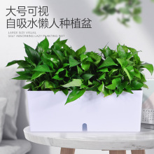 �̨�N�����ͥ�߲˷Nֲ�茣��������ˮ��ҕˮλ�������Ϙ�֬����