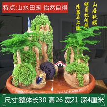 假山盆景吸水奇石造景文竹盆栽天然原植物石头上水石流水小型摆件