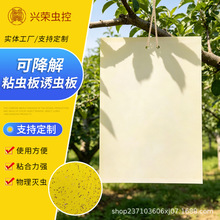 �p���S�{ճ�x���T�x�� �Sɫմ�x���r�I�E�R�@�ֲ��x�N�Tճ�x��
