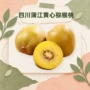 蒲江四川大果新鲜奇异果