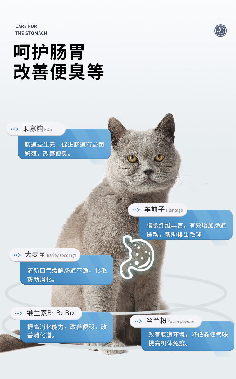 2aa90fea-674c-4e47-a7b3-27279318a094.jpe