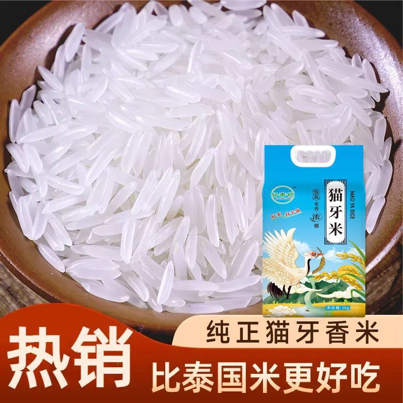 Freshly Ground Rice in Jars, Claypot Rice, Long-Grain Fragrant Rice, Wholesale Vacuum Packaging