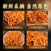 �x�ݻ������Ӹ���Ş���Ҝ�������˾��ͶY�����oѬ��