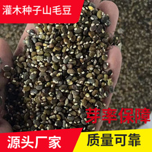 ����ɽë���o�¹�����ɽ�����ֹ�ľ�N�Ӳ��ѷN��·�G���ݷN��