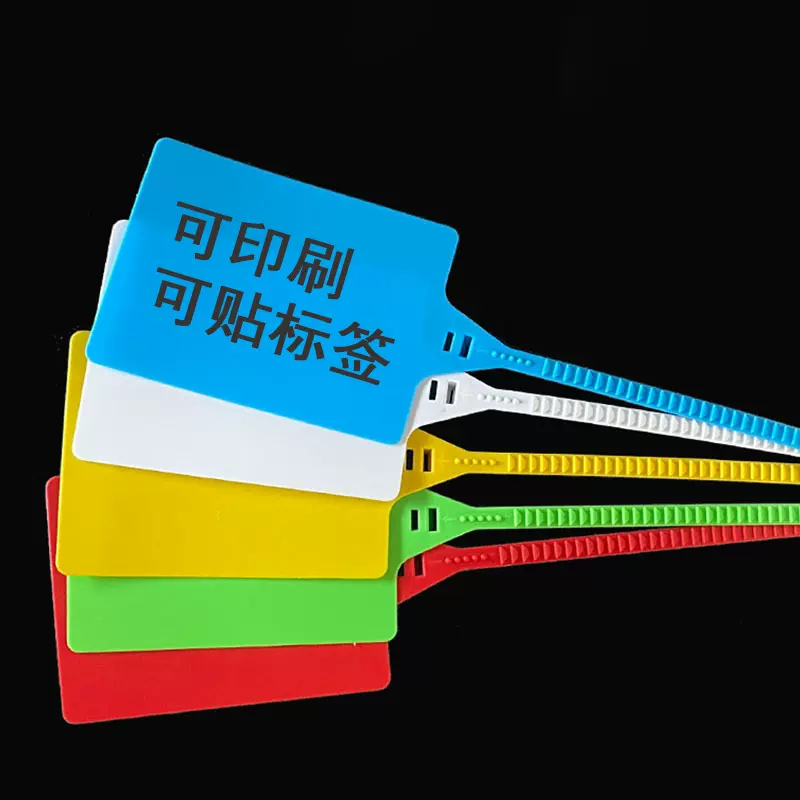 超大号物流吊牌快递挂签塑料快运扎带封条一体标牌挂牌送检标签扣