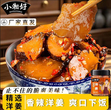 С���������Ƭ�����������l�����خa�r����������̲��u��